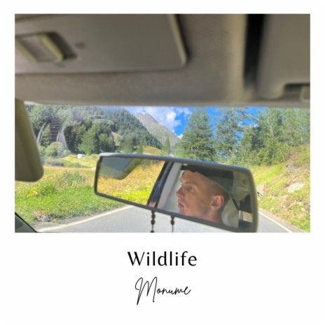 Wildlife | Boomplay Music