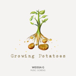 Growing Potatoes