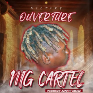 Mg Cartel