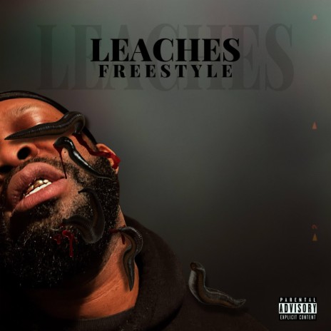 LEACHES | Boomplay Music