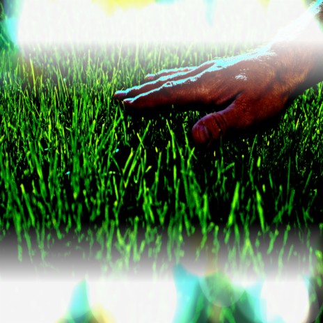 Touch Grass