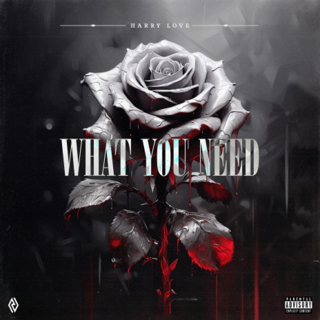 WHAT YOU NEED | Boomplay Music