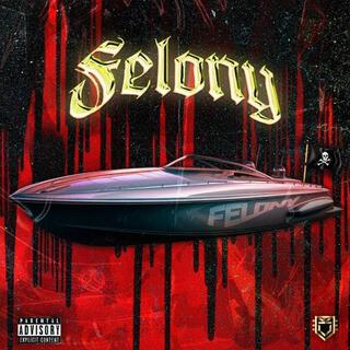 FELONY$