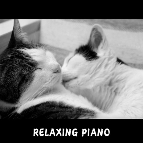 Relaxing Piano (only piano) | Boomplay Music