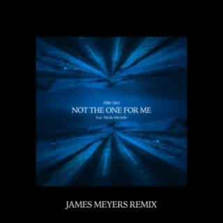 Not The One For Me (feat. NoelleMichelle) (James Meyers Remix)