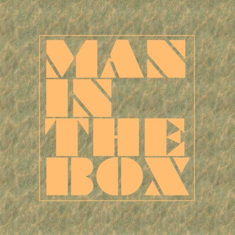 Man In The Box | Boomplay Music