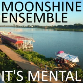 Moonshine Ensemble