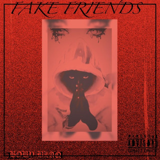 FAKE FRIENDS