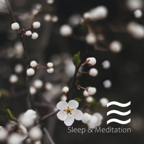Calm sounds for a little snooze | Boomplay Music