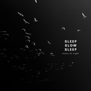 Sleep Slow Sleep