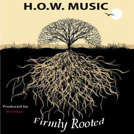 Firmly Rooted | Boomplay Music