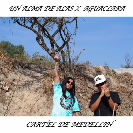 Un Alma de Alas ft. Aguaclara | Boomplay Music