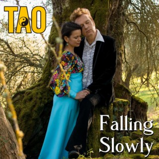 FALLING SLOWLY