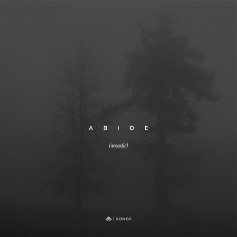 Abide (Acoustic) ft. Aaron Williams