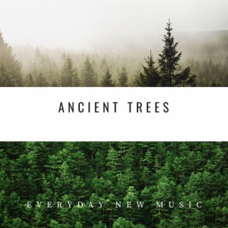 Ancient Trees: Native American Chants