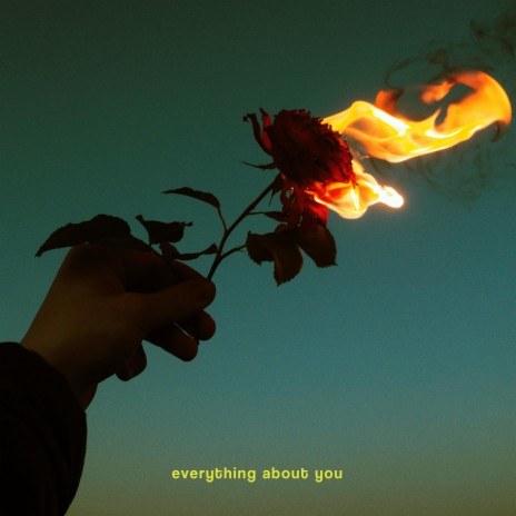 everything about you | Boomplay Music