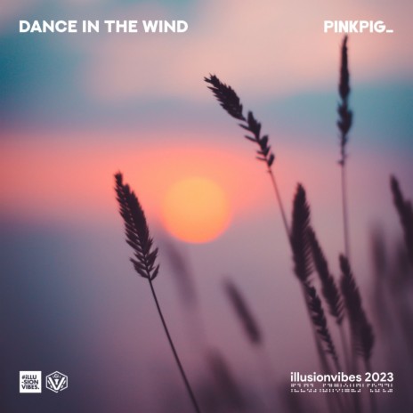 Dance in the Wind (Radio Edit) | Boomplay Music