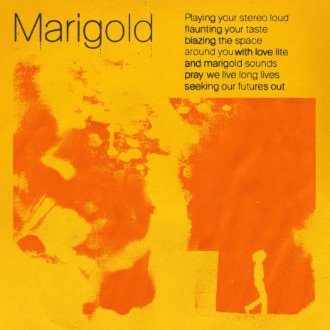 Marigold | Boomplay Music