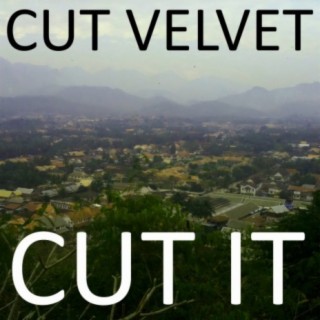 Cut Velvet