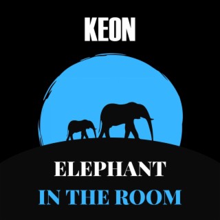 Elephant in the Room lyrics | Boomplay Music
