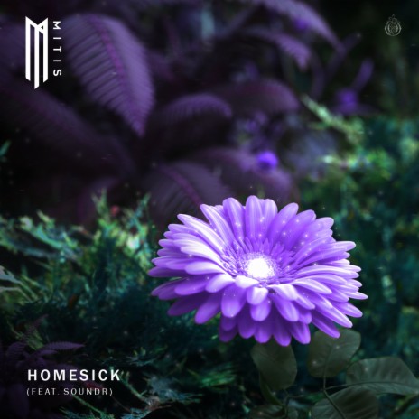 Homesick (feat. SOUNDR) | Boomplay Music