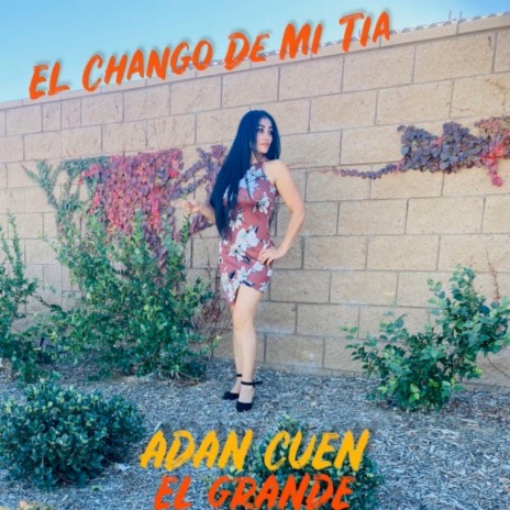 El Chango De Mi Tia | Boomplay Music