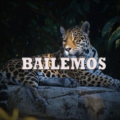 BAILEMOS ft. J SANDU | Boomplay Music