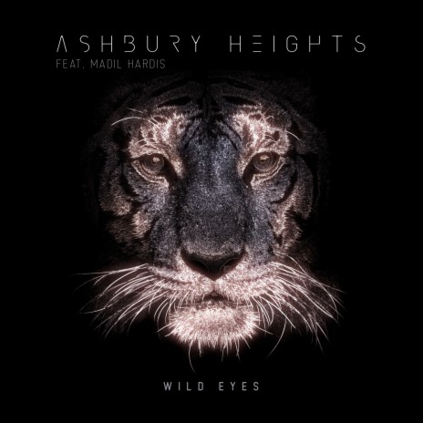 Wild Eyes ft. Madil Hardis | Boomplay Music