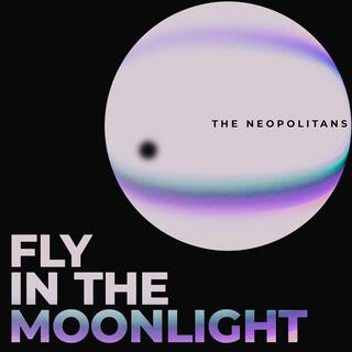 Fly in the Moonlight