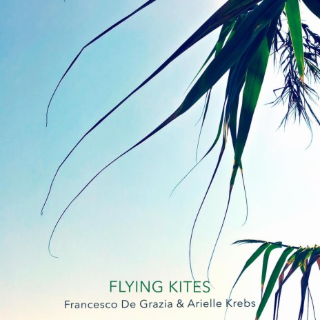 Flying Kites ft. Arielle Krebs | Boomplay Music