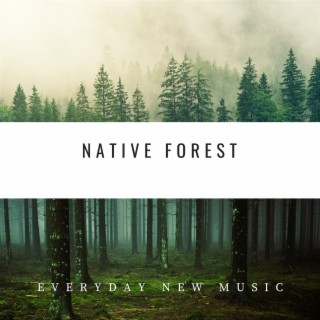 Native Forest: Tribal Harmonies