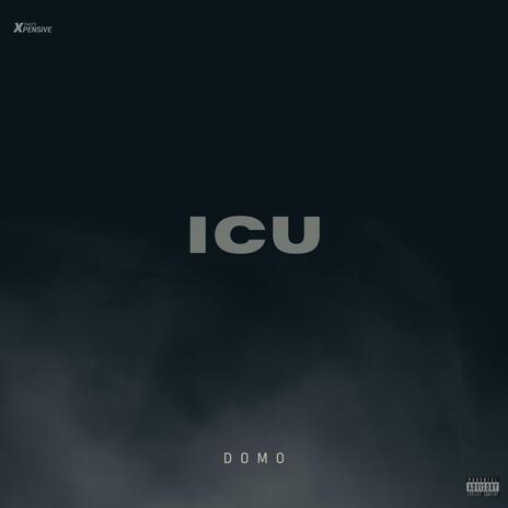 ICU | Boomplay Music