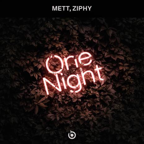 One Night ft. Ziphy | Boomplay Music