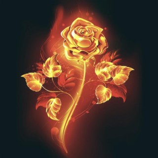 Rose Aflame