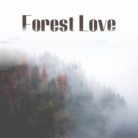 Forest Love | Boomplay Music