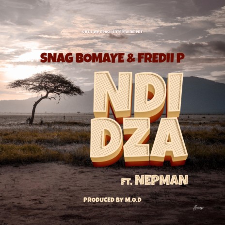 Ndidza ft. Fredii P & Nepman