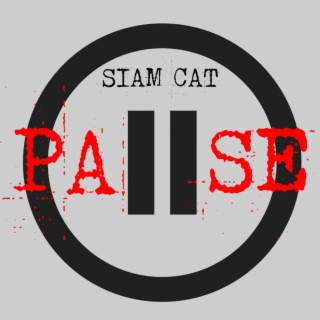 Siam Cat