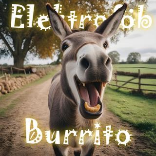 Burrito