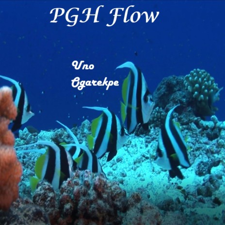 PGH Flow