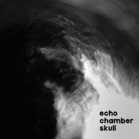 Echo Chamber Skull | Boomplay Music