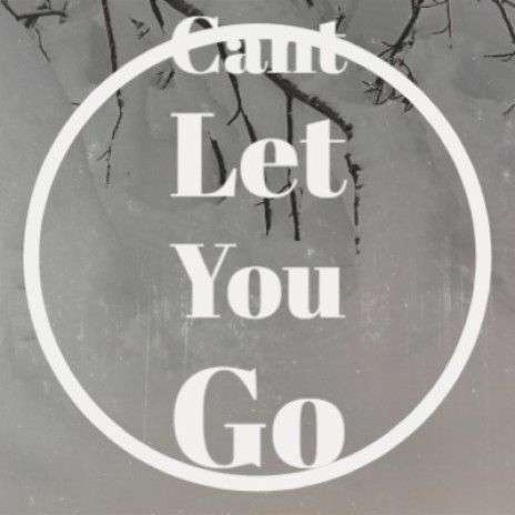 Cant Let You Go | Boomplay Music