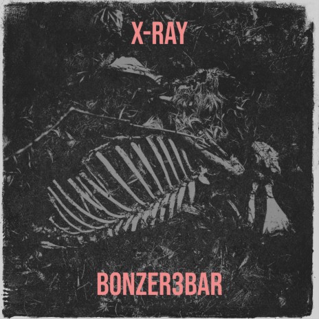 X-Ray | Boomplay Music