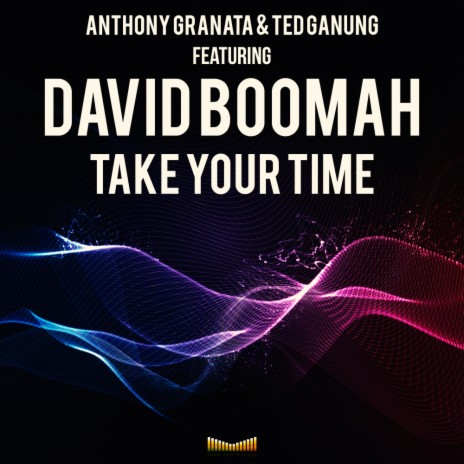 Take Your Time (Original Mix) ft. Ted Ganung & David Boomah