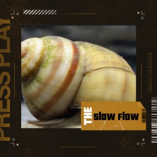 The Slow Flow lyrics | Boomplay Music