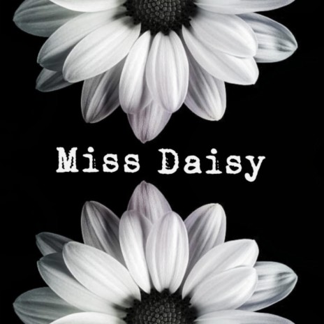 Miss Daisy | Boomplay Music