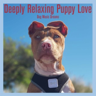 Deeply Relaxing Puppy Love: Dog Music Dreams