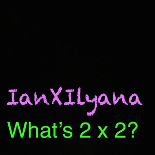 What’s 2 x 2?