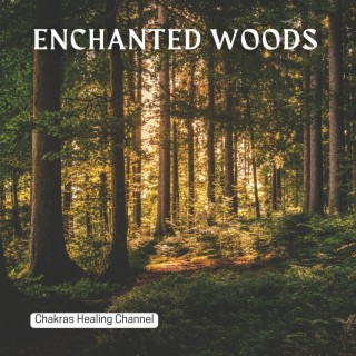 Enchanted Woods: Shamanic Journey