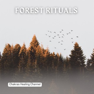 Forest Rituals: Tribal Soundscapes