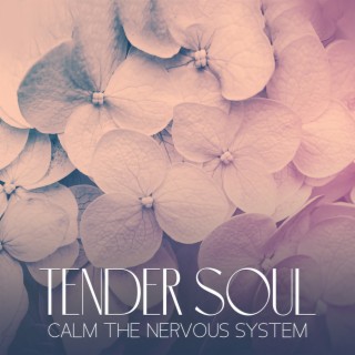 Tender Soul: Therapy Music to Calms the Nervous System, Remove Stress Instantly for Inner Peace, Daily Mindfulness Meditation